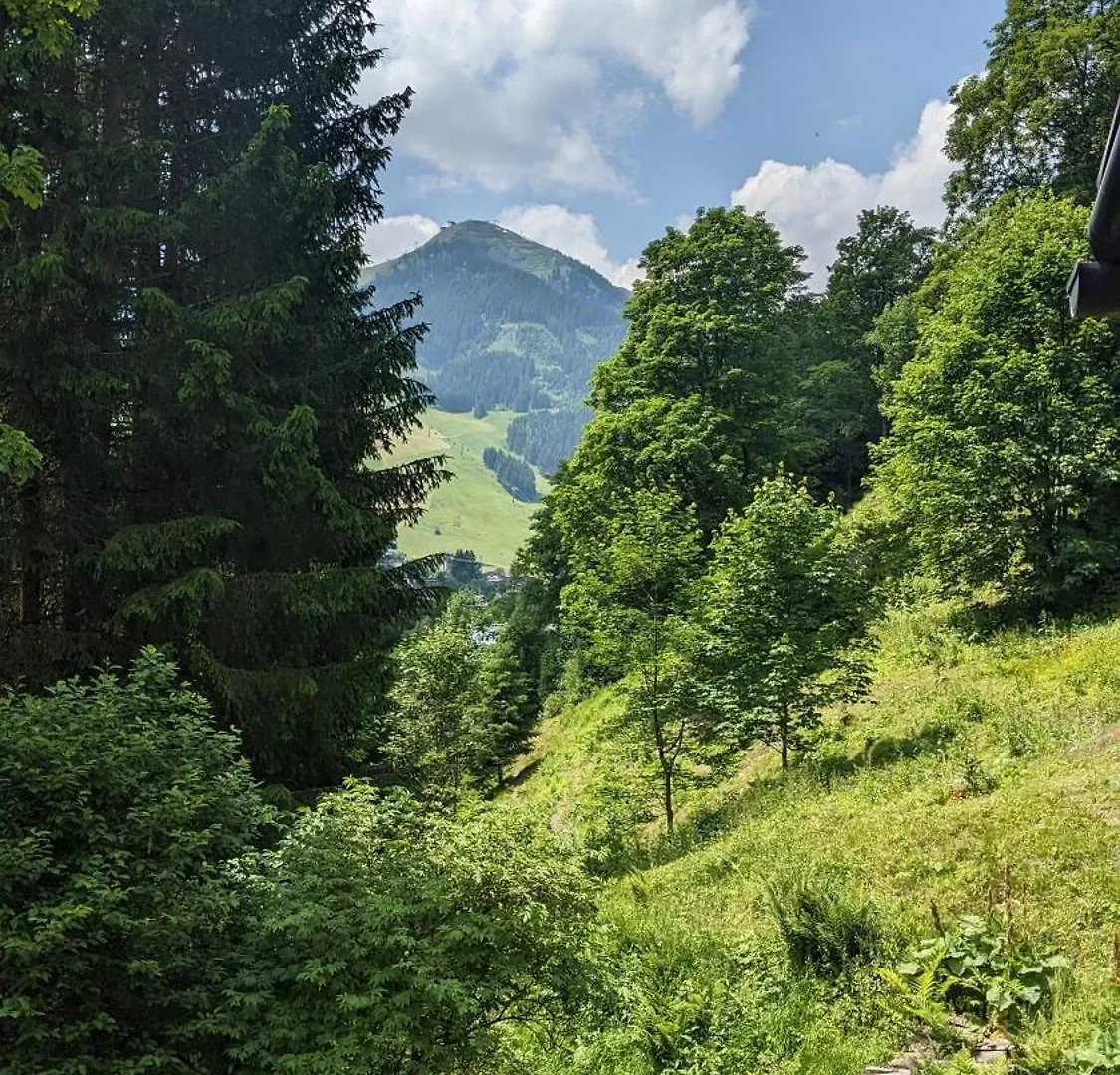 Chalet Apartments Ferius Inklusive Jokercard Im Sommer Saalbach-Hinterglemm