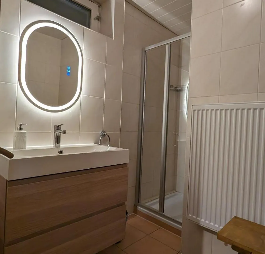 Chalet Apartments Ferius Inklusive Jokercard Im Sommer Saalbach-Hinterglemm Østrig